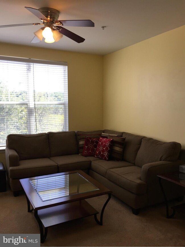 1408 Laurel Wood Way unit 84, Frederick, MD 21701 - photo 5