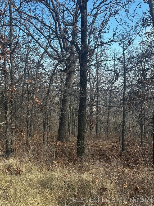 .86 Acres ready for you!