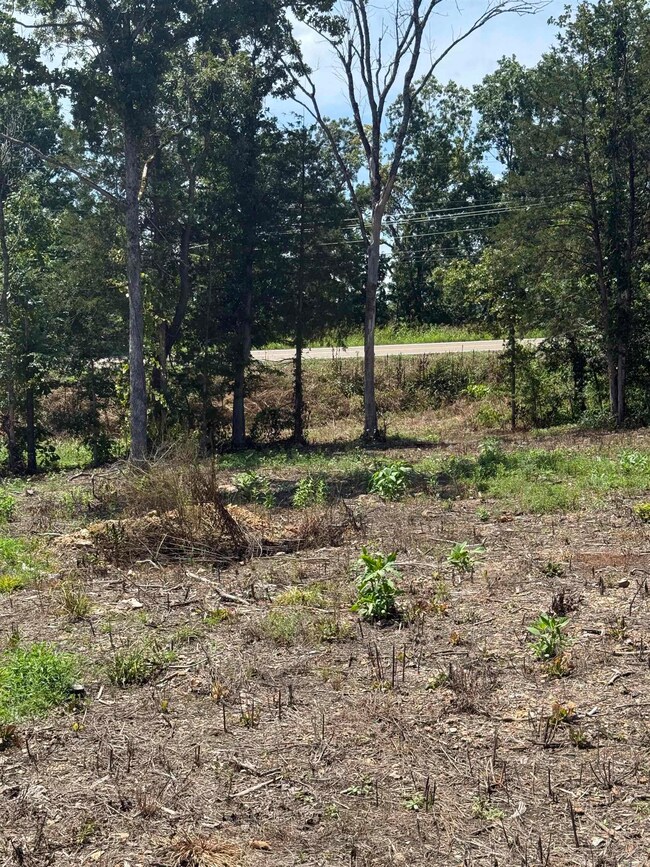 12952 Highway 5, Norfork, AR 72658 - photo 5