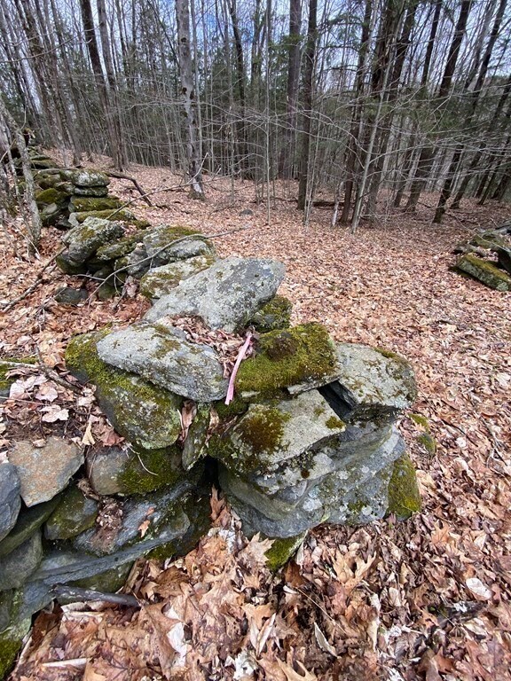 0 Stage Rd unit 72973282, Cummington, MA 01026 - photo 4