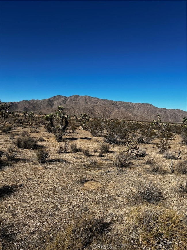 0 Canyon View Rd unit HD25247512, Lucerne Valley, CA 92356 - photo 4
