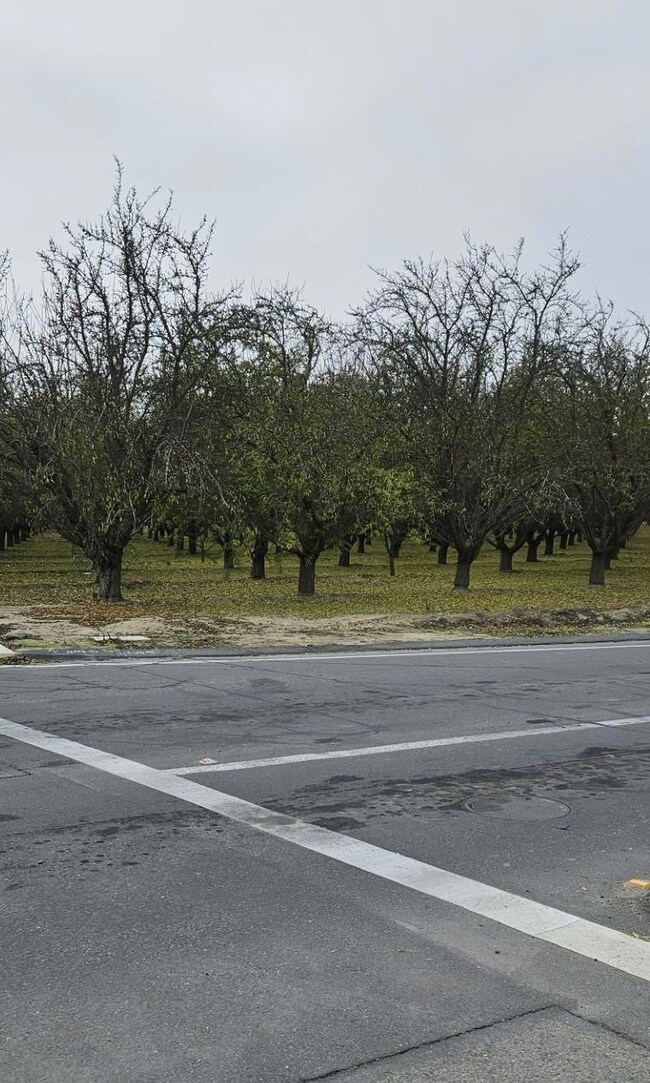 0 Whitesbridge Rd unit 622837, Kerman, CA 93630 - photo 6