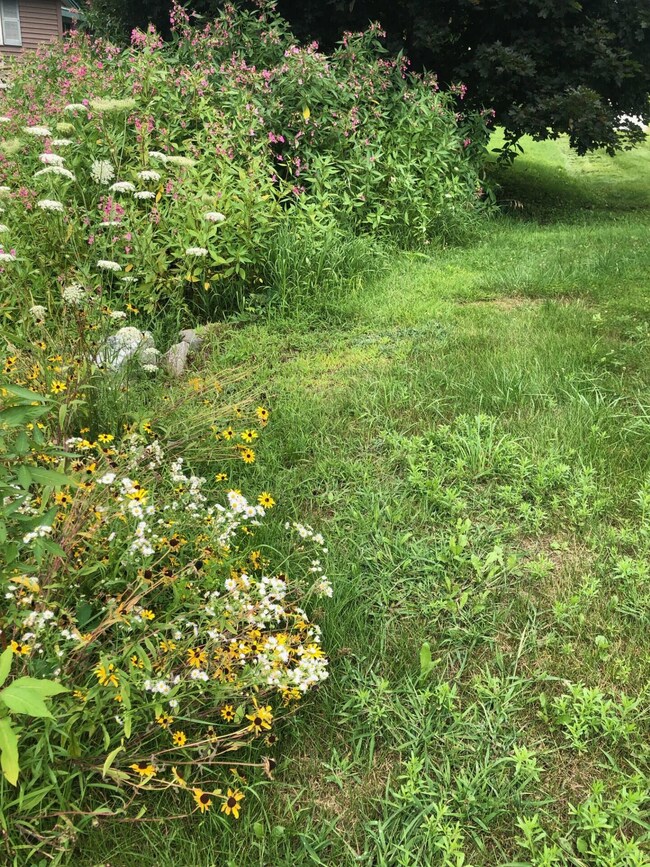 0386 flowers