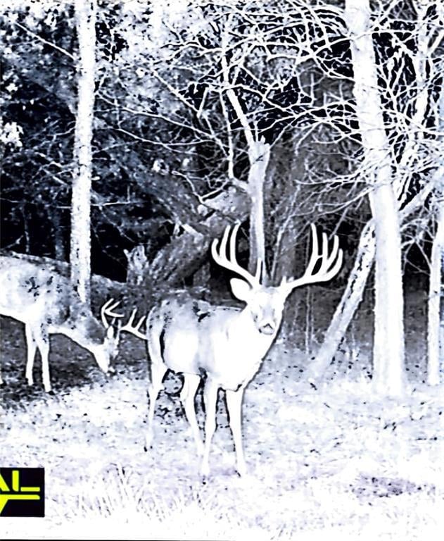 7701 N Brush Creek Rd, Glencoe, OK 74032 - photo 5