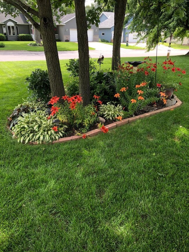 Gorgeous Flowers and Landscaping!!!