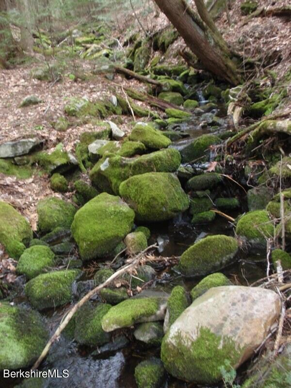 Babbling Brook