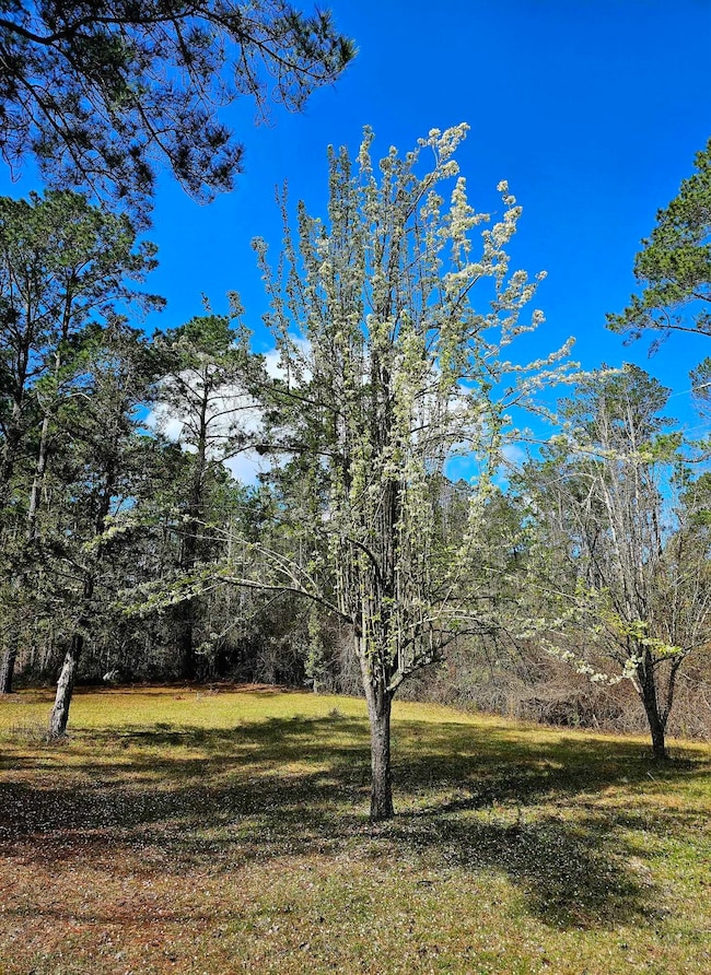 238 Winding Creek Ln, Quincy, FL 32351 - photo 7