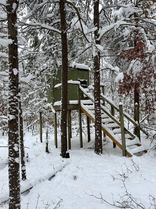 11335 S Broadway St, Bitely, MI 49309 - photo 4