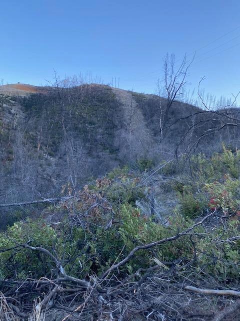 Sutcliffe Property 2