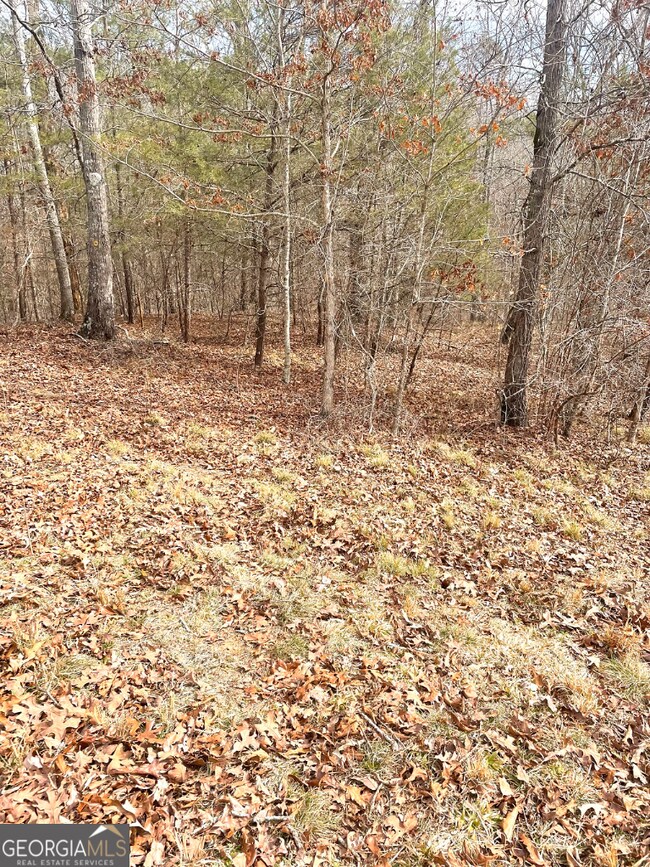 0 Hellyer Dr unit 10656263, Cleveland, GA 30528 - photo 7