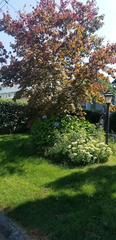 19 Warren St, Chicopee, MA 01013 - photo 4