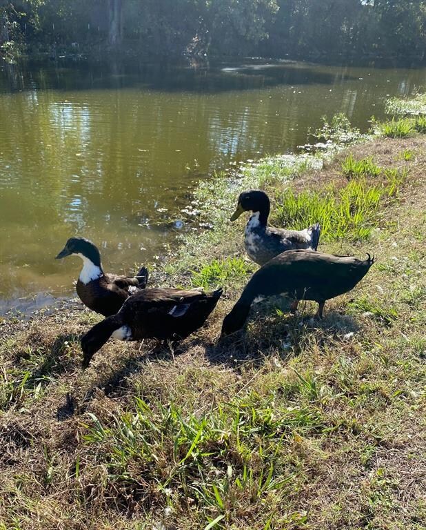 308 Pioneer Trail, Weatherford, TX 76087 - photo 4
