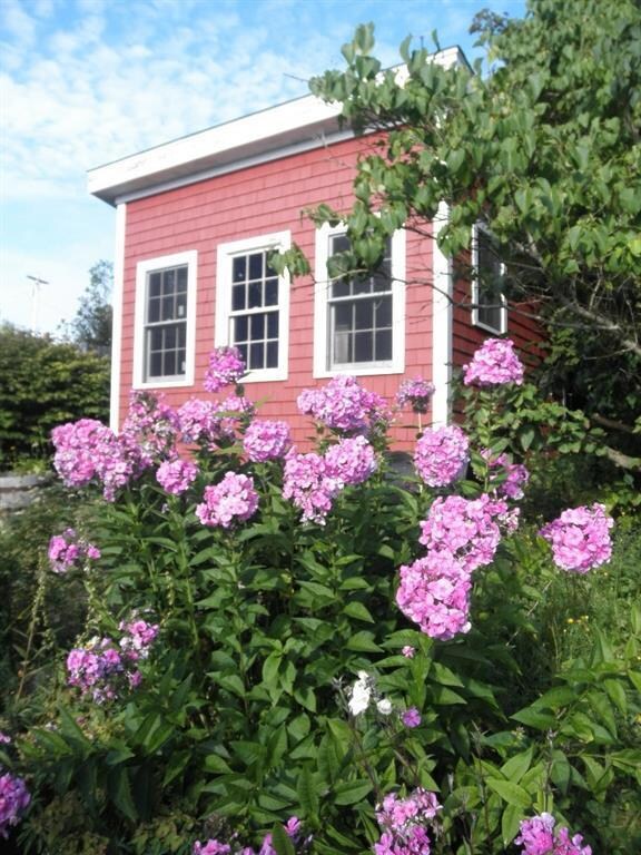 View of outbuilding in late summer.