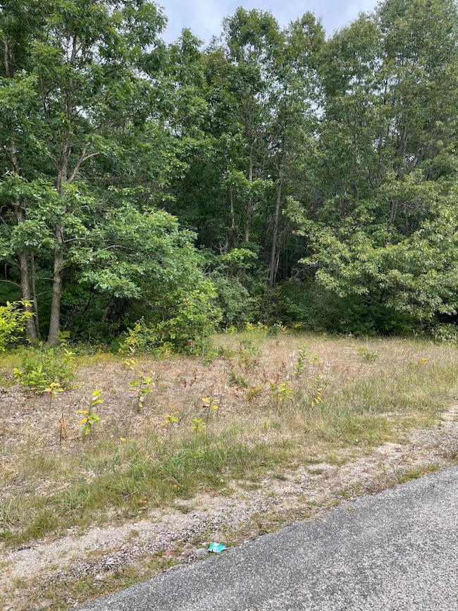 Lot 1 Renaissance Park, Manistee, MI 49660 - photo 2
