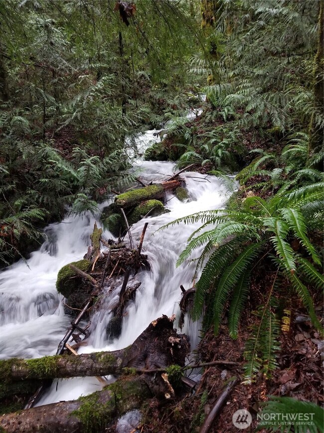 unlisted-address, Brinnon, WA 98320 - photo 6