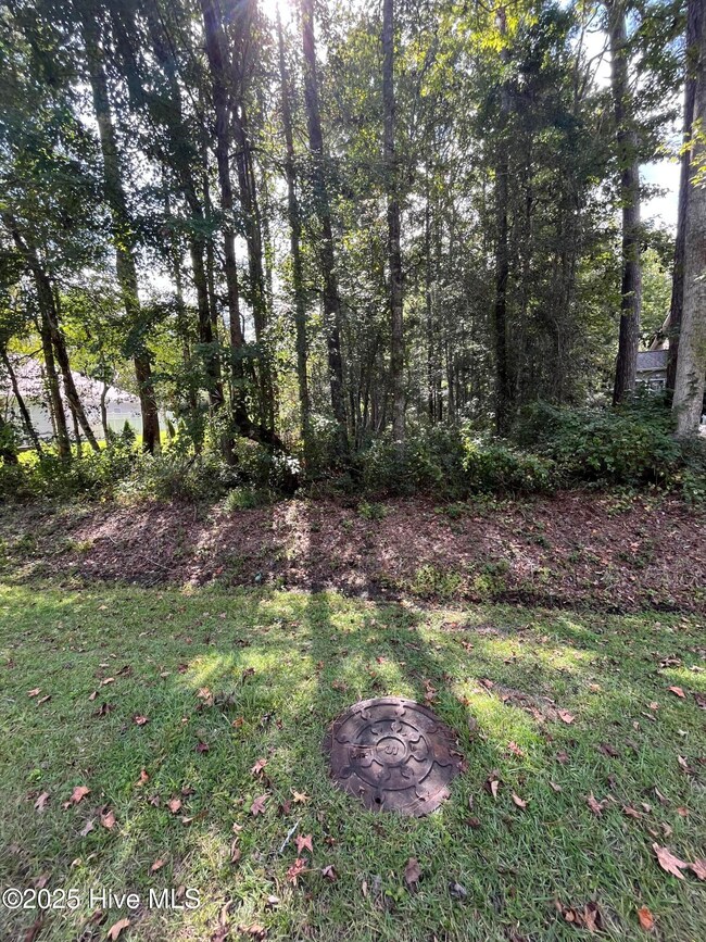 15 Oakbark Ct, Carolina Shores, NC 28467 - photo 4