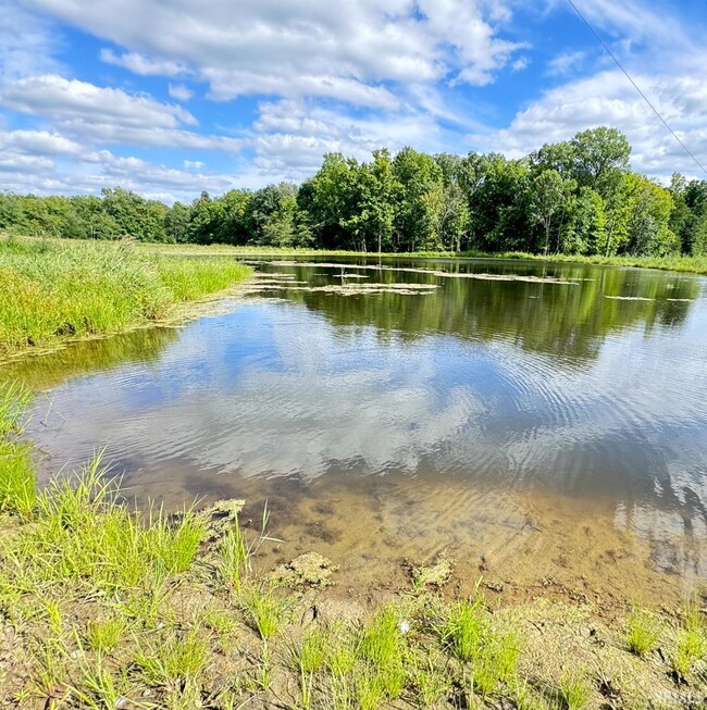 1616 S Layton Station Rd, Veedersburg, IN 47987 - photo 3