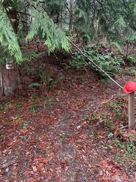 0 Reese Hill Rd unit 1395691, Sumas, WA 98295 - photo 2