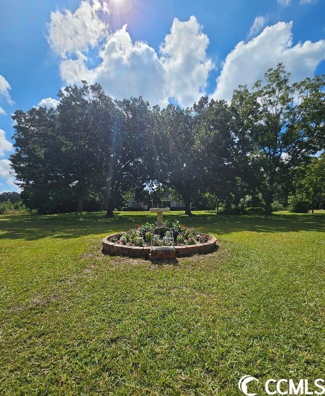 4436 Highway 19, Conway, SC 29526 - photo 2