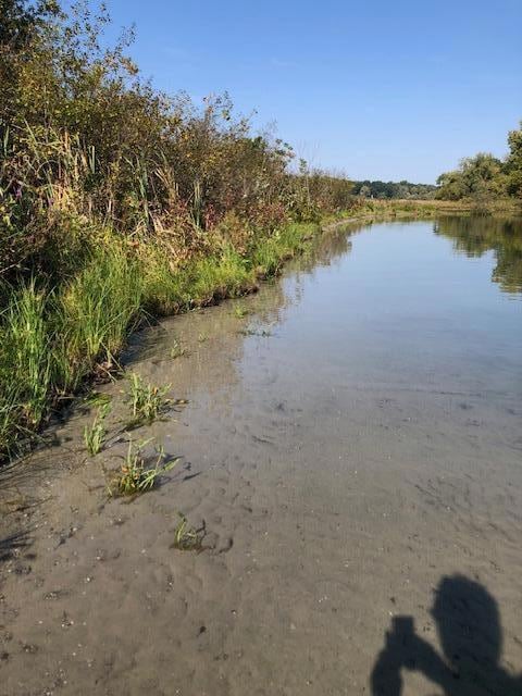 1 Pike Ln, Union, MI 49130 - photo 3