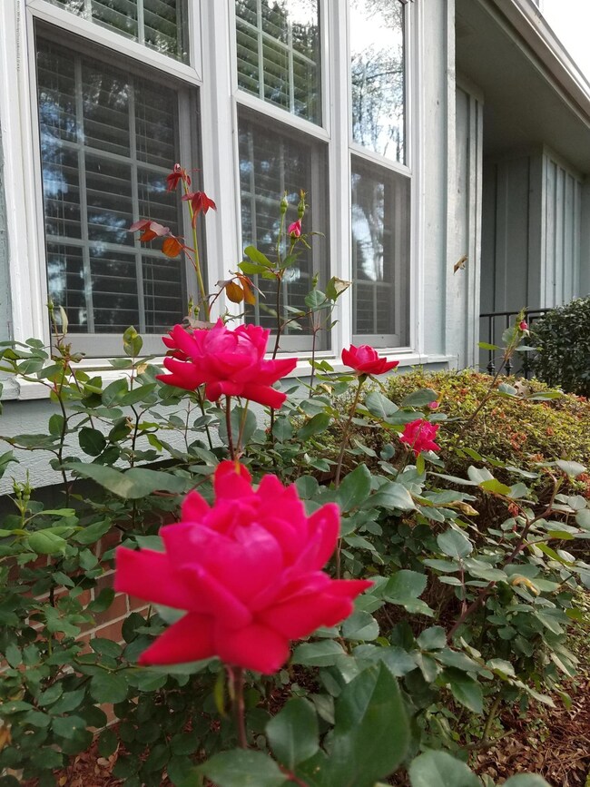 275 Flushing Cove, Hernando, MS 38632 - photo 3