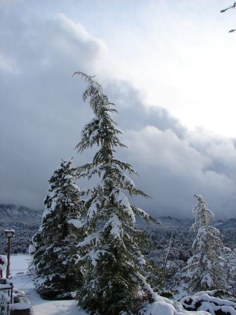Photo 02