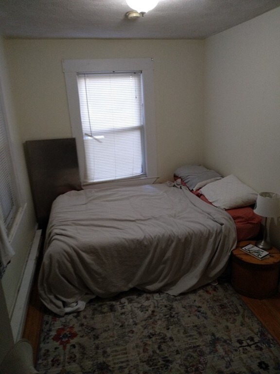 17 Bay St unit 1L, Cambridge, MA 02139 - photo 4
