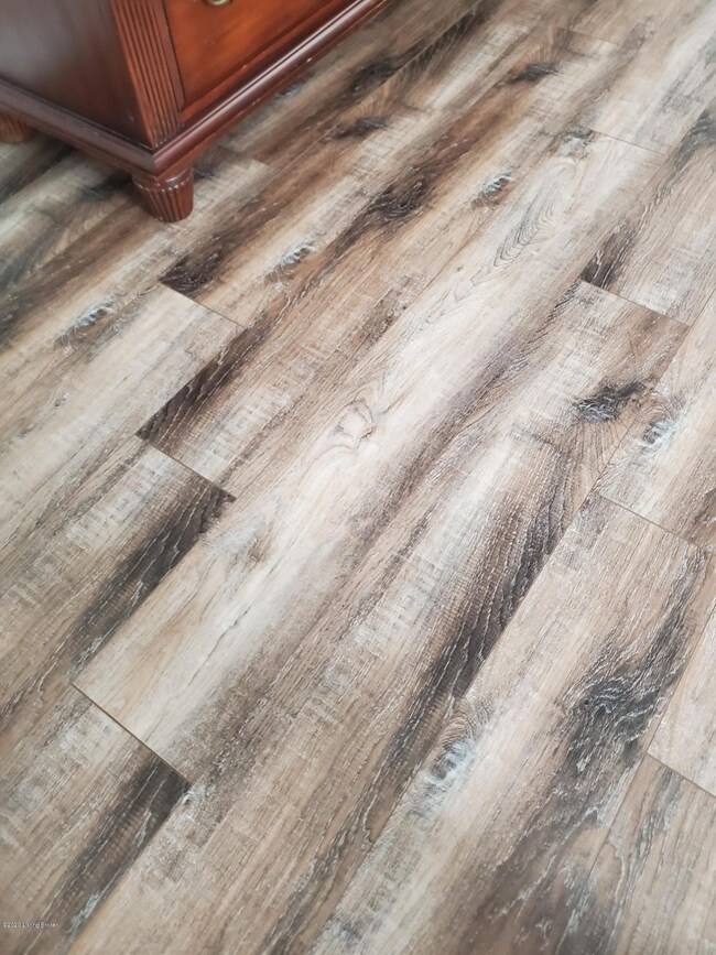 8343 Grand Trevi Dr unit 6103, Louisville, KY 40228 - photo 5