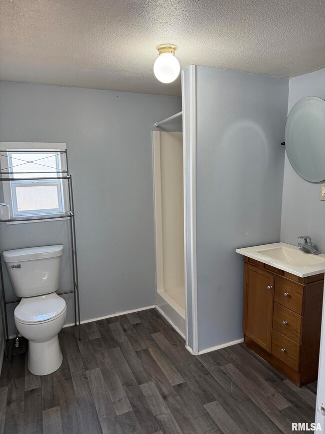 809 N 4th St, Oquawka, IL 61469 - photo 5