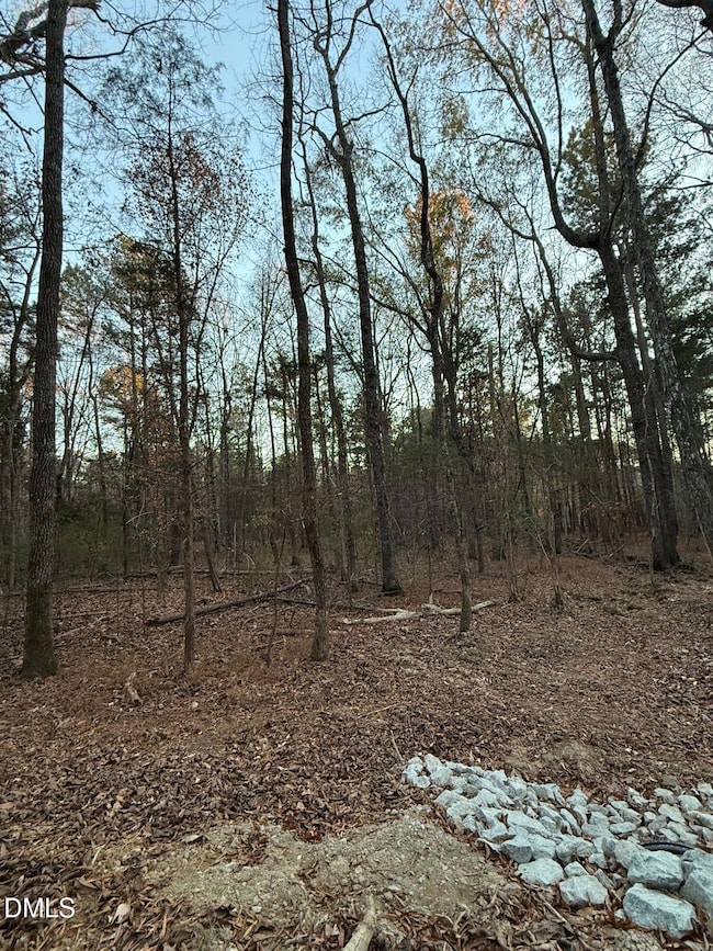 2636 Ritchie Rd, Bingham, NC 27516 - photo 5