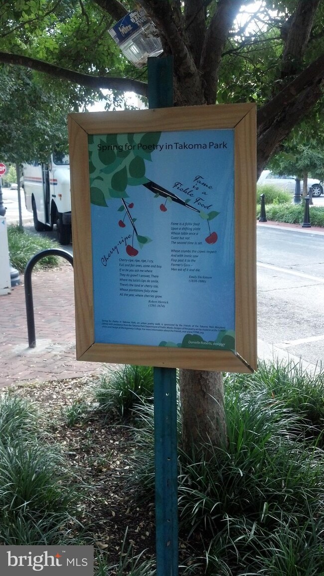 0 Garland Ave unit 1000341470, Takoma Park, MD 20912 - photo 7