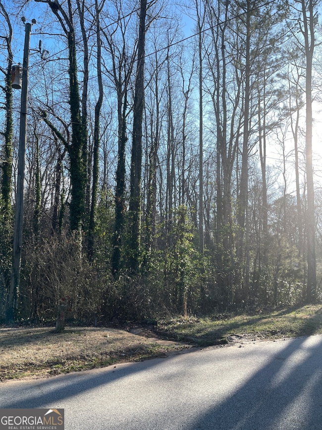 6145 Knights Ln, Douglasville, GA 30135 - photo 4