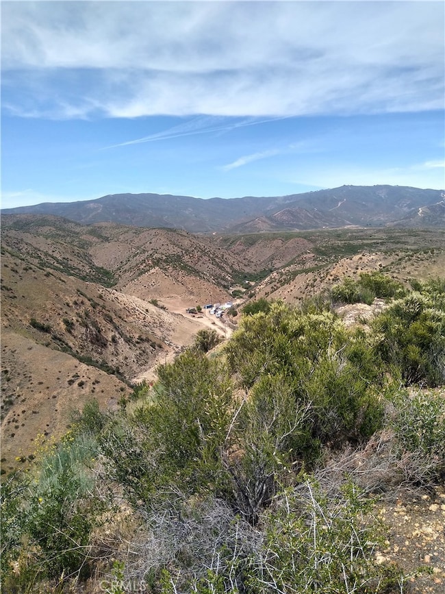 0 Sierra Hwy unit OC25269143, Agua Dulce, CA - photo 4
