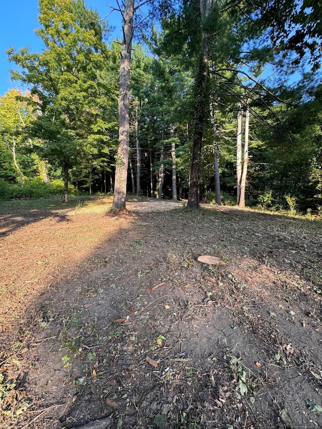 0 Cornwall Bridge Rd unit 170559925, Sharon, CT 06069 - photo 4