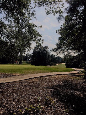 Golf course view