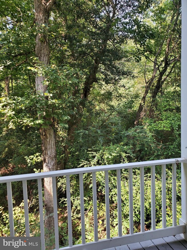 22547 Landing Way, Leonardtown, MD 20650 - photo 2