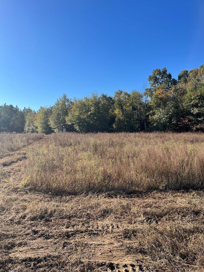 Bhl 1 Boise Cascade Rd, Bethune, SC 29009 - photo 3