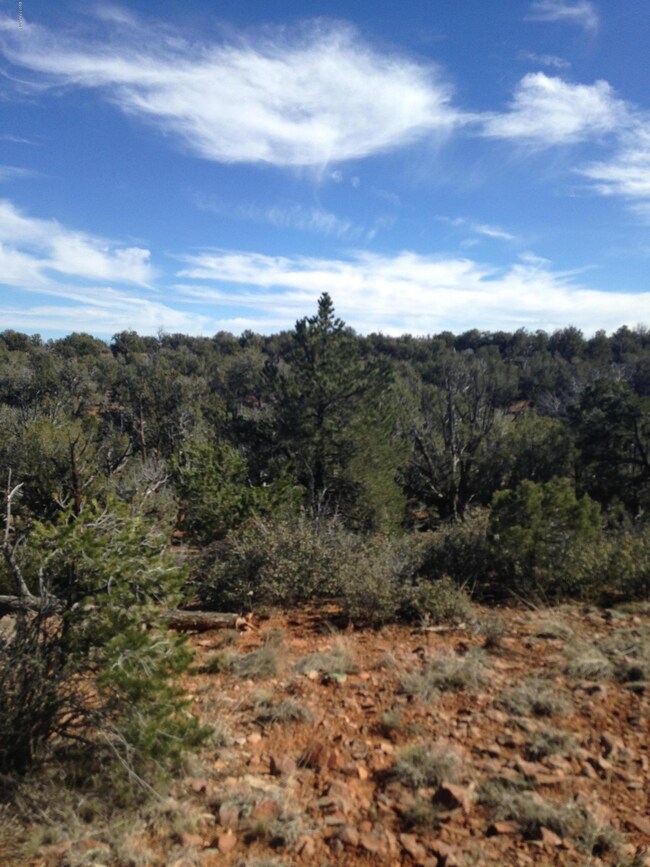 165 Off of Rocky Rd, Ash Fork, AZ 86320 - photo 6