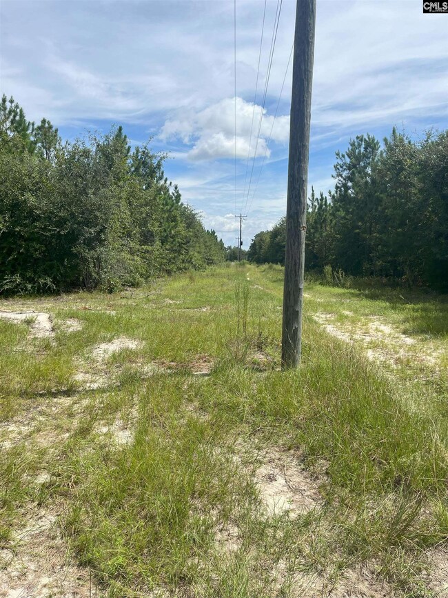 PPF 10 Payne Pond Rd unit PPF 10, Westville, SC 29175 - photo 3