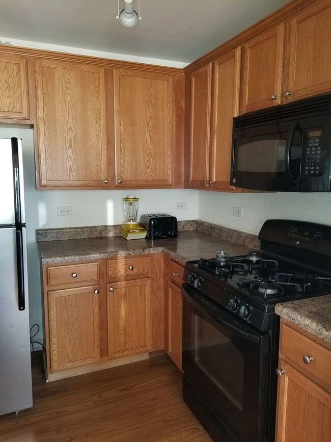 2407 Echelon Cir unit B, Matteson, IL 60443 - photo 2