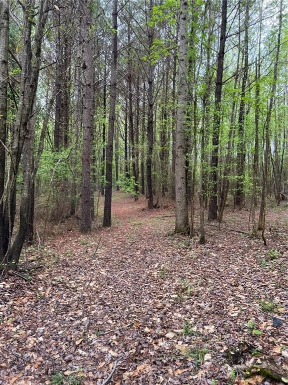 0 Willingham Dr, Fayetteville, GA 30214 - photo 3