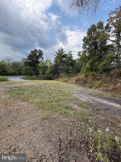 222 Siler Ln, Winchester, VA 22603 - photo 5