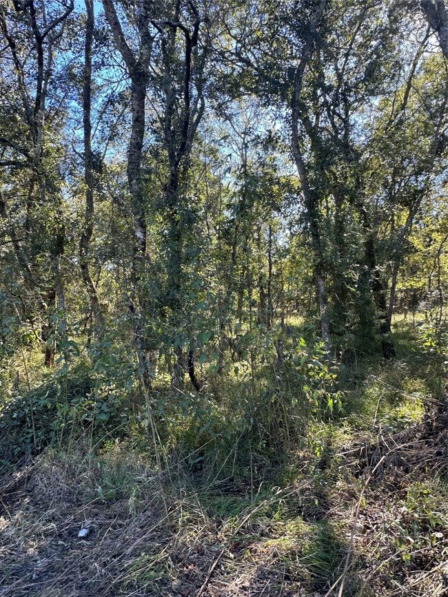 00 Oak Forest Dr, Guy, TX 77444 - photo 6