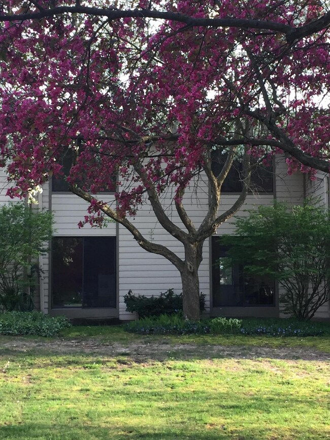 Rear exterior