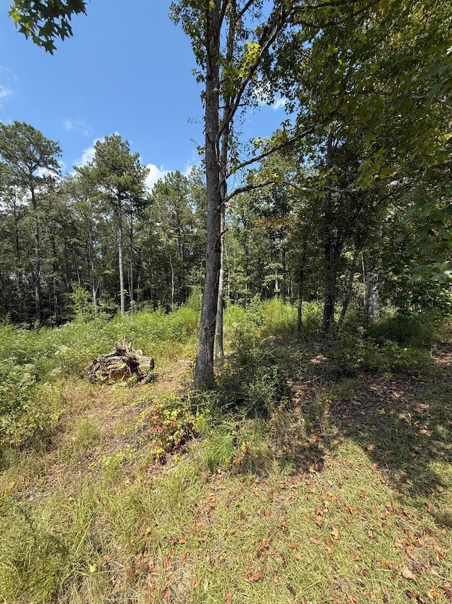 0 Woodland Cir, Jasper, AL 35504 - photo 2