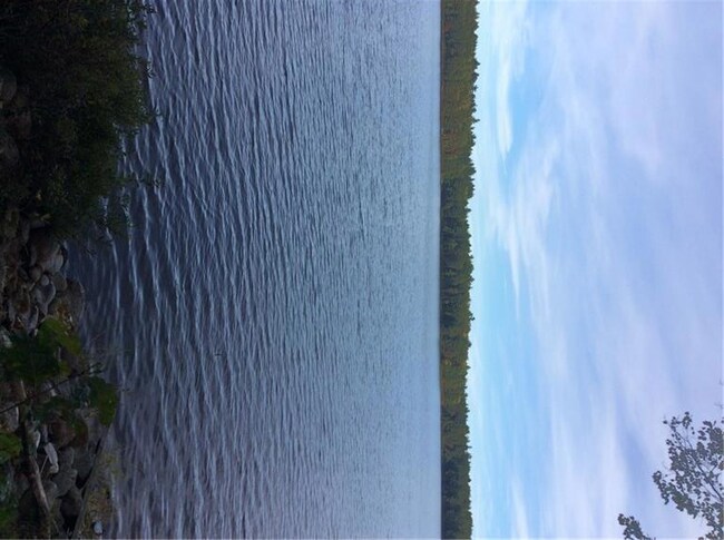 View from edge of shore!