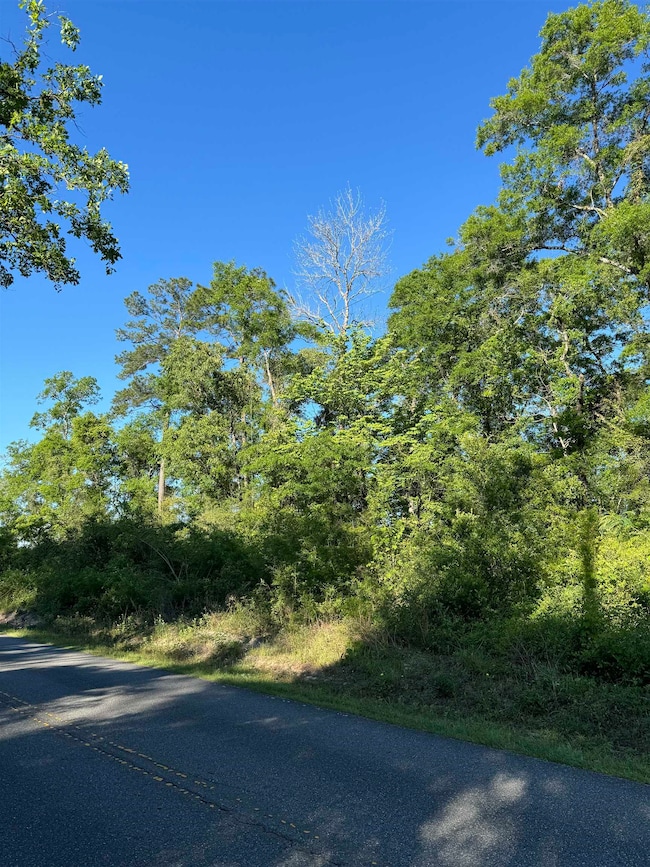 0 Old Bethel Rd, Crawfordville, FL 32327 - photo 6