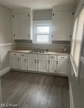 Kitchen with dark hardwood / wood-style floors, white cabinets, and sink