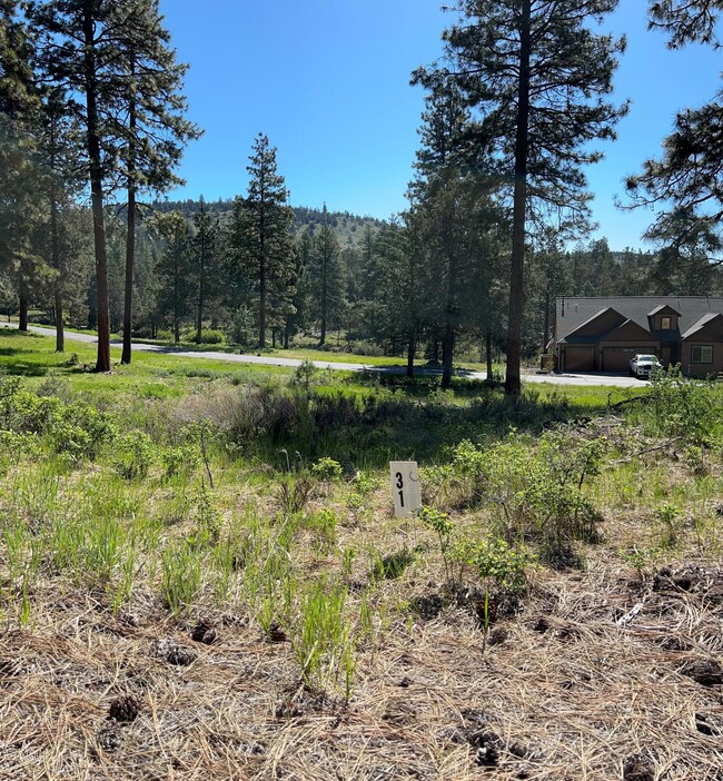 lot 31