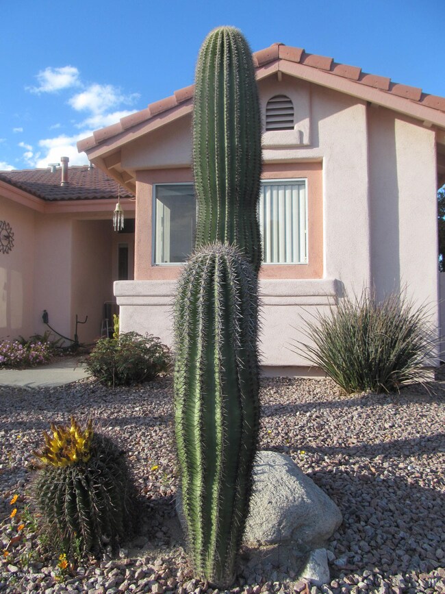 3600 Mesa Ridge Trail